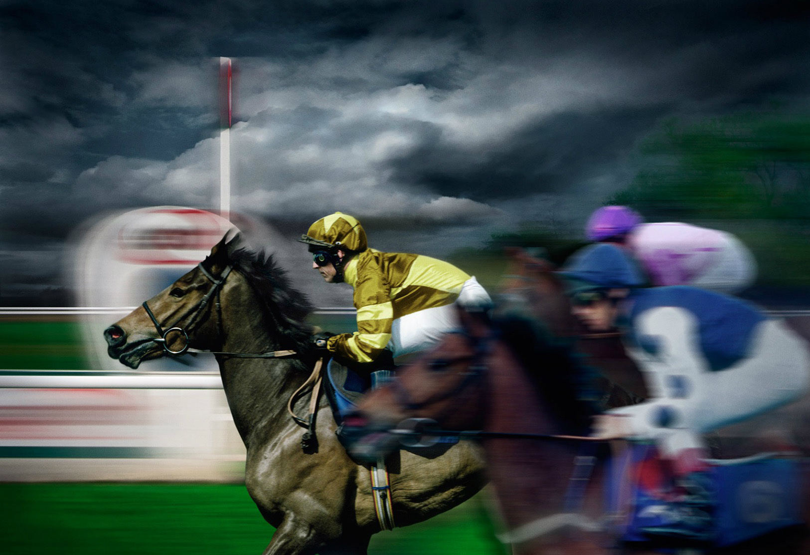 Horse Winning Race Copyright Gandee Vasan