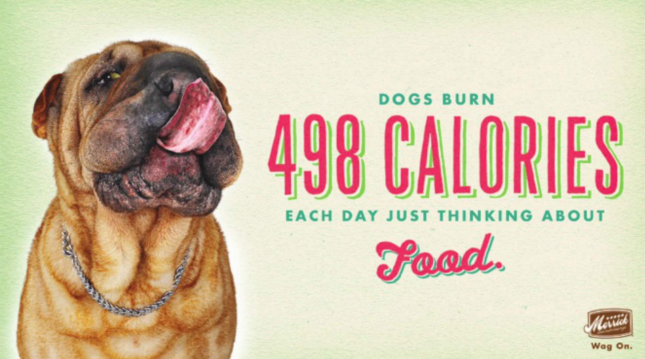 Dogs Burn 498 Calories Each Day Just Thinking about Food by Gandee Vasan Advertising Photographer