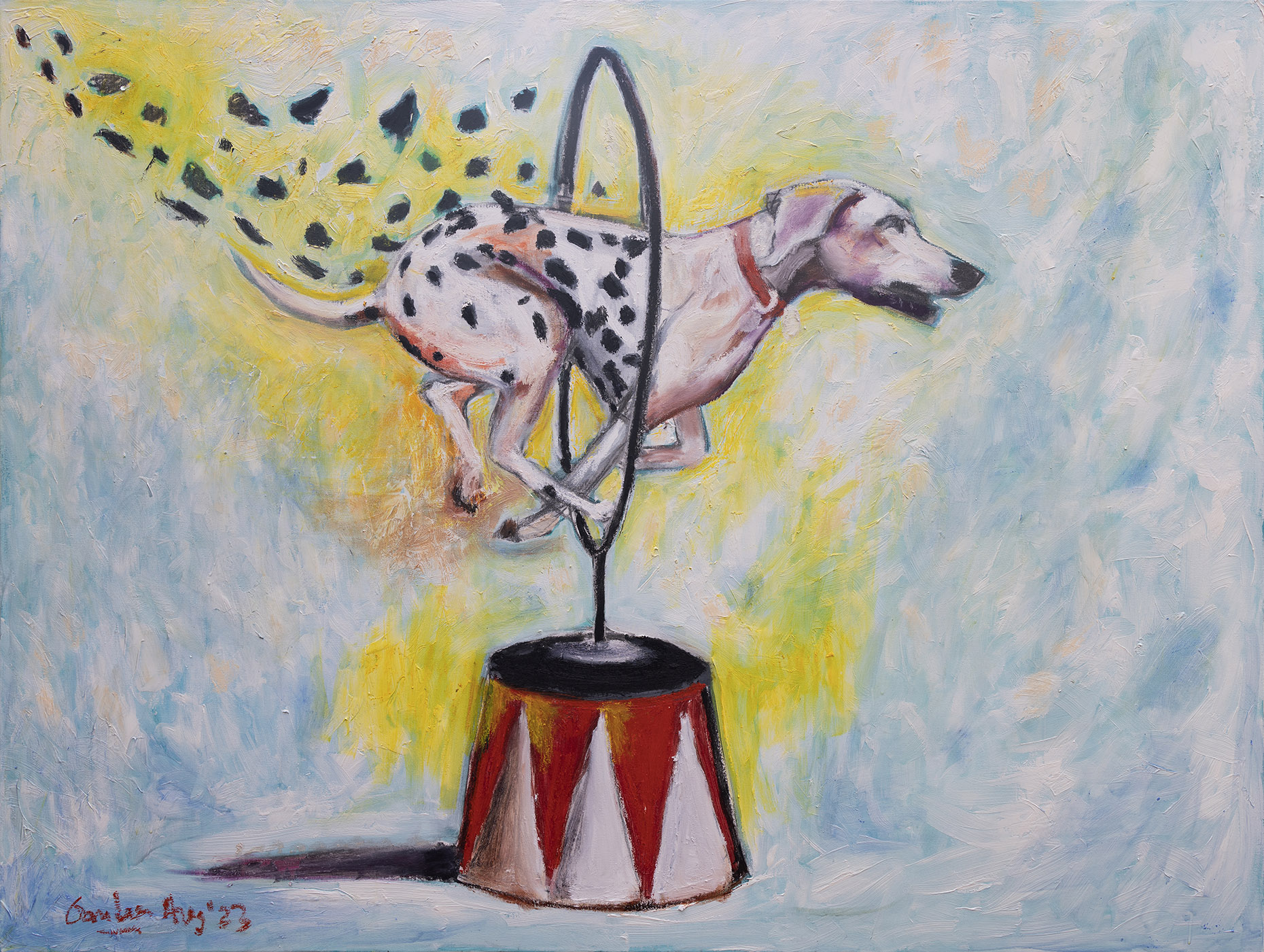 Spots Flying off Dalmatian Dog while it jumps through a circus hoop